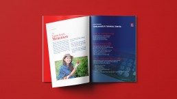 ali kemal elitaş ala reklam marka iletişim hizmetleri izmir reklam ajansı