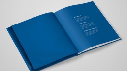 dere grup ala reklam marka iletisim hizmetleri izmir reklam ajansı