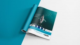 ikontrol ala reklam marka iletisim hizmetleri