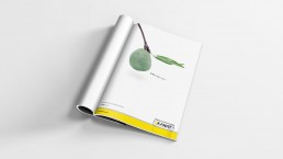 kanat-boya-cagla-ilan-arge-ala-marka-iletisim-hizmetleri