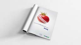 keyege ala reklam marka iletisim hizmetleri izmir reklam ajansı